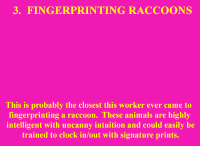 Fingerprinting Raccoons